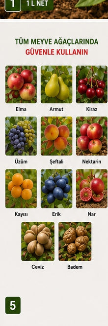 PashaWorm Meyve Gübresi kullanım alanları