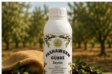 PashaWorm Zeytin 1 LT sıvı solucan gübresi zeytin bahçesinde