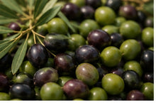 Hasat edilmiş zeytinler PashaWorm Zeytin ürün görseli
