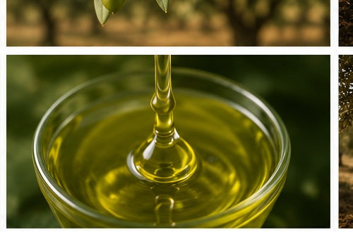 Zeytin ve zeytinyağı kalite görseli