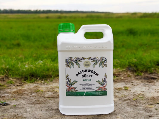 PashaWorm Zeytin Gübresi 10 Litre - Organik Sıvı Solucan Gübresi | Zeytinlikler İçin