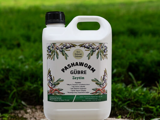 PashaWorm Zeytin Gübresi 5 Litre - Organik Sıvı Solucan Gübresi | Zeytinlikler İçin